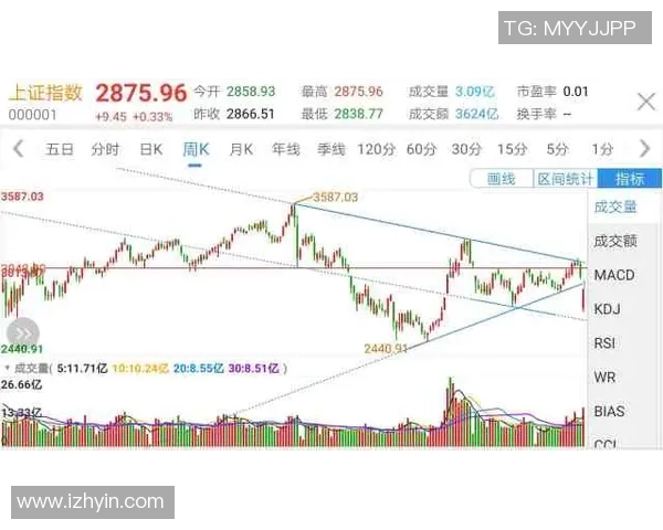 重庆飞盘队与深圳飞盘队赛后复盘总结比赛经验与教训分析